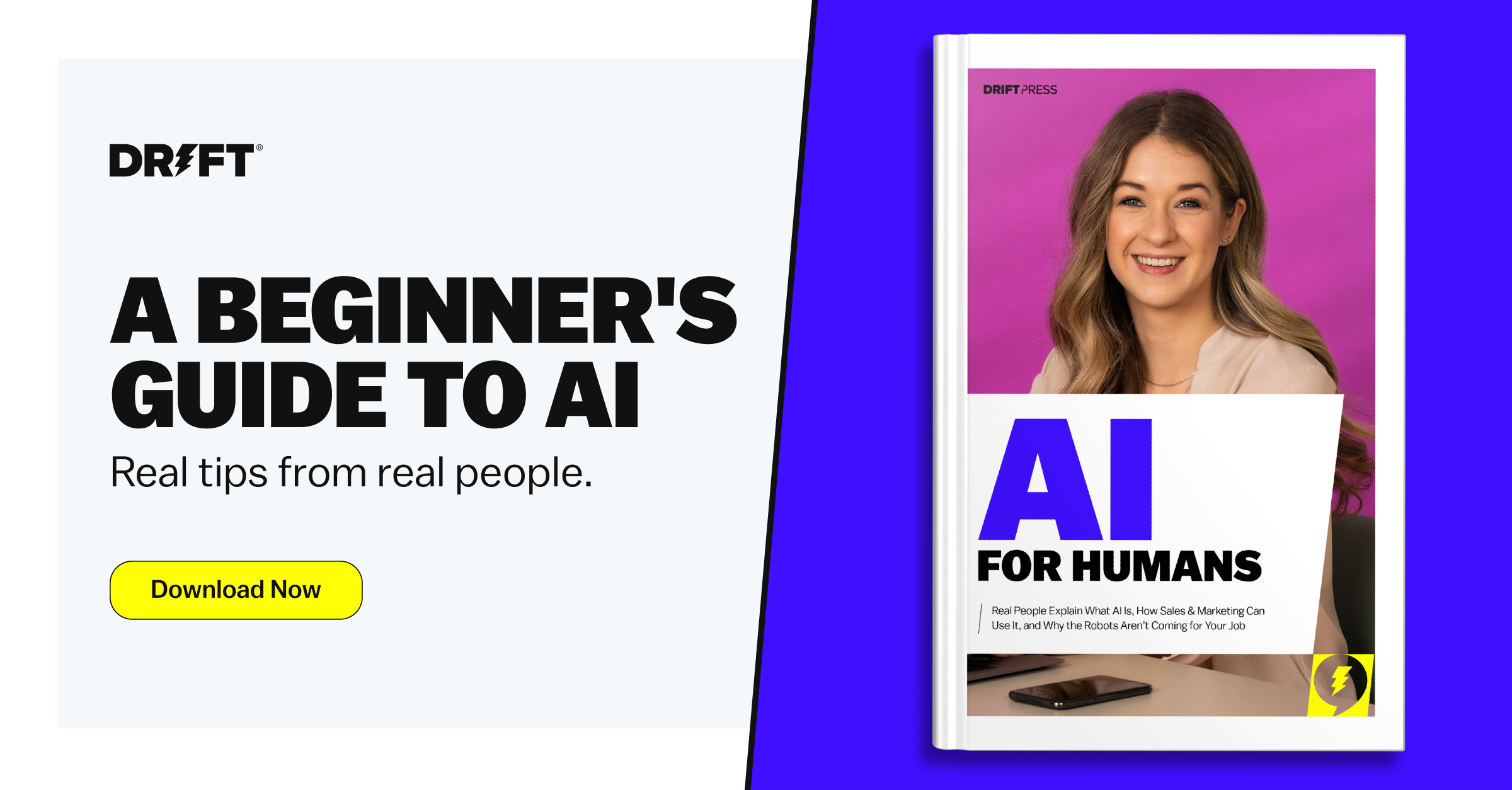 Download AI for Humans